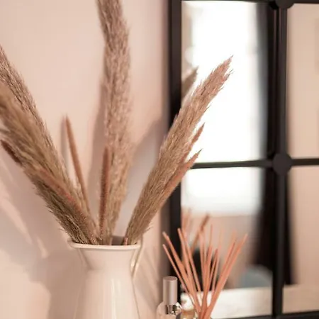 公寓 Au Coeur De La