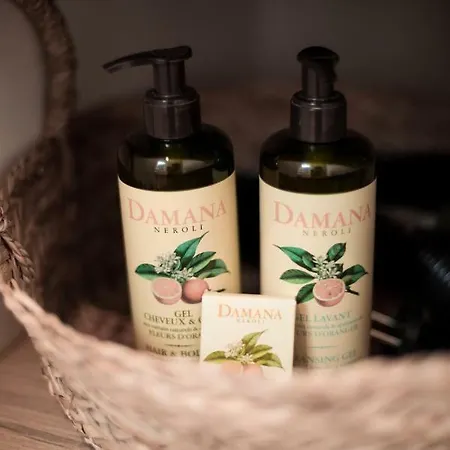 公寓 Au Coeur De La *